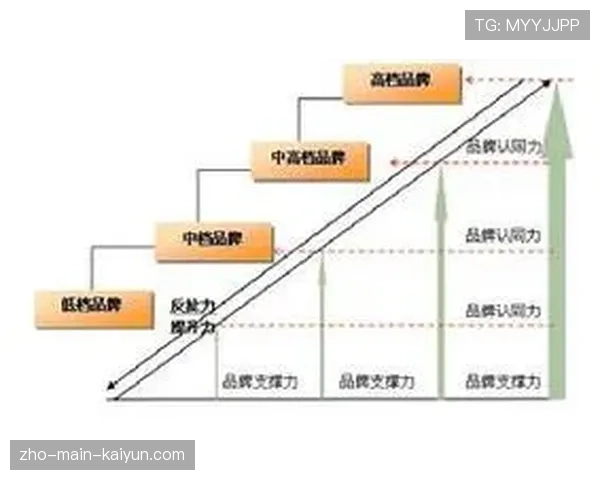 行业内逐步完善赛事综合效益评估体系 引导品牌建设科学化